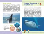 Акулы, киты, дельфины. Детская научно-популярная энциклопедия, производитель АСТ , ISBN 978-5-17104-043-7, № 5