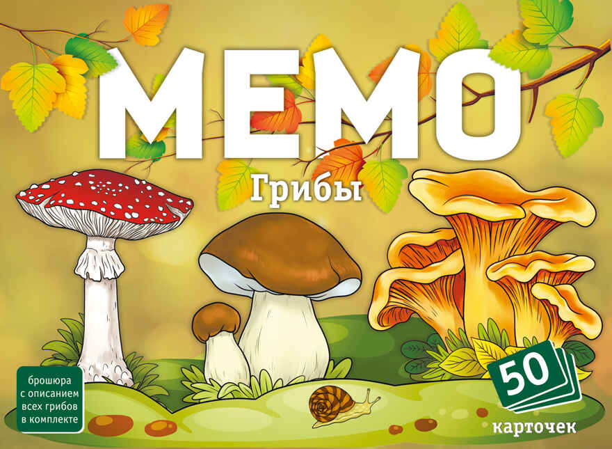 Мемо Грибы, арт. 8615, производитель ТД БЭМБИ, ISBN 462-0-06536-727-4, № 2