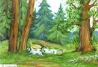 Дошкольная математика для детей 4-5 лет с ОВЗ: ДЕМОНСТРАЦИОННЫЙ МАТЕРИАЛ 2-й год обучения авт:Романович О.А., производитель Гном , ISBN 978-5-00160-344-3, № 3