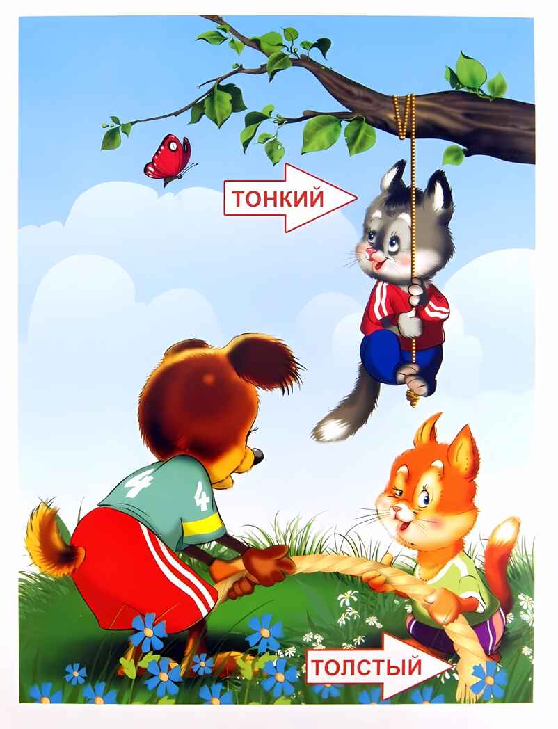 Сравниваем противоположности, производитель Проф-Пресс , ISBN 978-5-37805-232-5, № 2