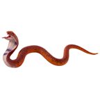 Игрушка-антистресс KiddiePlay ПУСТЫННАЯ КОБРА, (карта), арт. 32656, производитель KiddiePlay, ISBN 462-0-12527-867-0, № 2