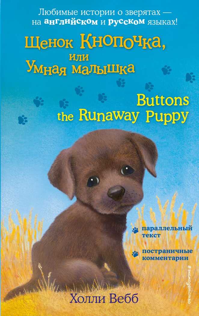 Щенок Кнопочка, или Умная малышка = Buttons the Runaway Puppy. Английский с Холли Вебб: билингва, производитель Эксмо , ISBN 978-5-04096-545-8, № 1