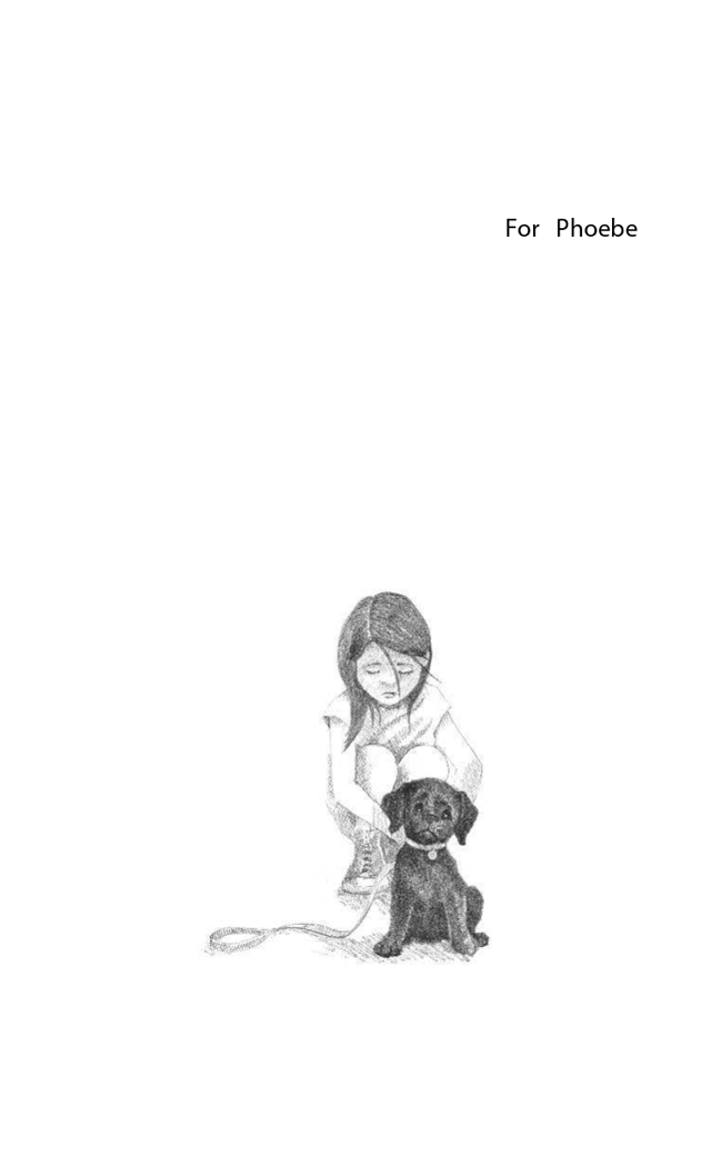 Щенок Кнопочка, или Умная малышка = Buttons the Runaway Puppy. Английский с Холли Вебб: билингва, производитель Эксмо , ISBN 978-5-04096-545-8, № 7