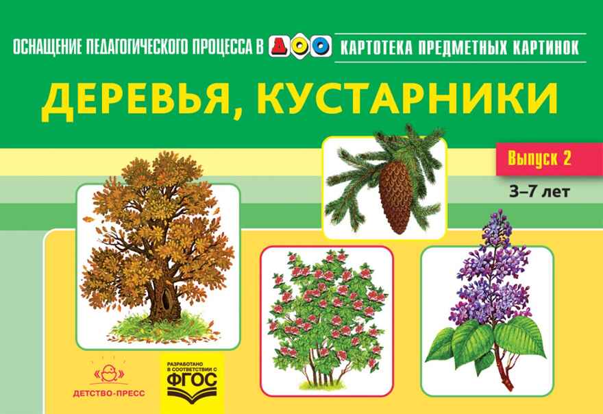 Картотека предметных картинок. Выпуск 2. Деревья, кустарники. 3-7 лет.ФГОС. Наглядный дидактический материал, производитель Детство-Пресс , ISBN 978-5-90693-797-1, № 1
