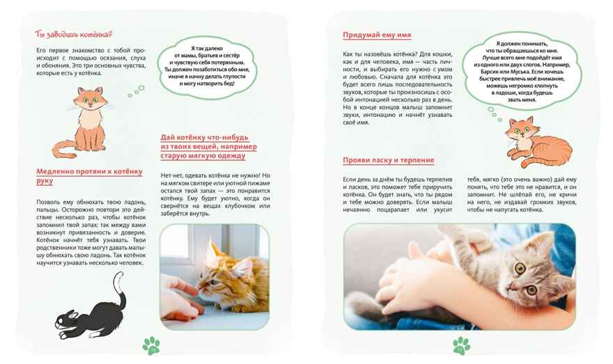Я и моя кошка. Как понять питомца и стать ему другом, производитель Махаон , ISBN 978-5-38927-503-4, № 4