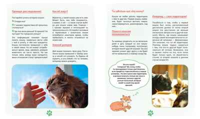 Я и моя кошка. Как понять питомца и стать ему другом, производитель Махаон , ISBN 978-5-38927-503-4№ 5