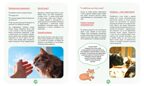 Я и моя кошка. Как понять питомца и стать ему другом, производитель Махаон , ISBN 978-5-38927-503-4, № 5