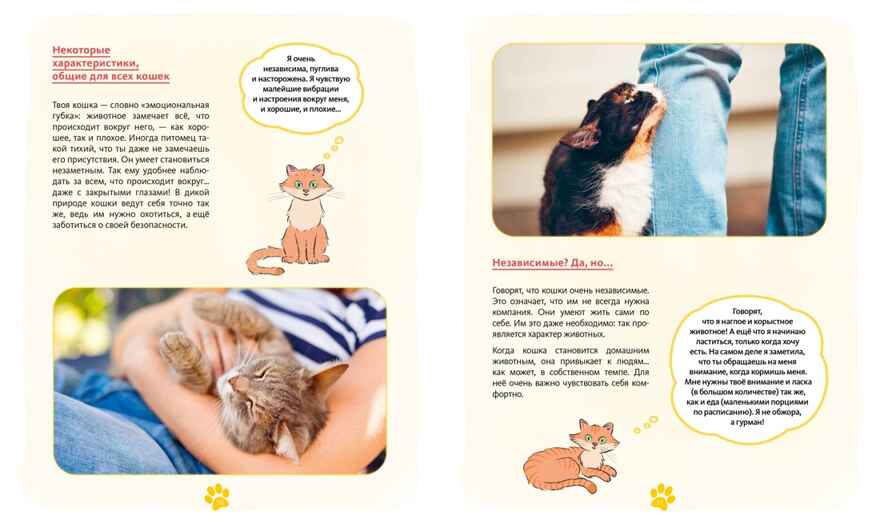 Я и моя кошка. Как понять питомца и стать ему другом, производитель Махаон , ISBN 978-5-38927-503-4, № 6