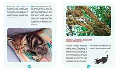 Я и моя кошка. Как понять питомца и стать ему другом, производитель Махаон , ISBN 978-5-38927-503-4№ 7