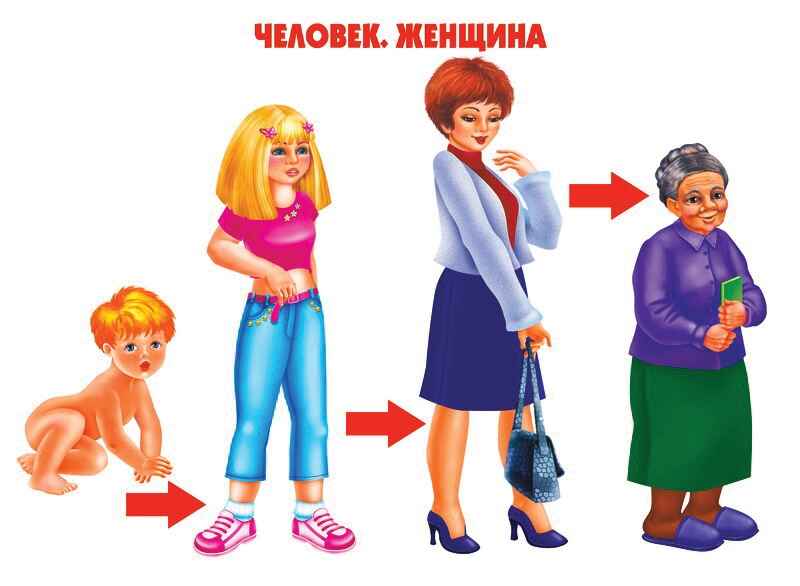 Как растет живое, производитель «Весна-Дизайн» (ИП Бурдина С. В.), ISBN 200-0-00002-904-7, № 2
