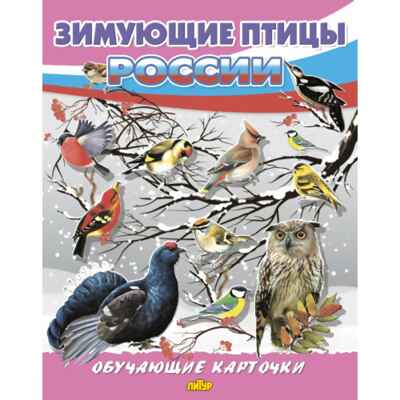 Зимующие птицы России. Обучающие карточки. Большой формат. (Картон), производитель Литур , ISBN 978-5-97801-646-8№ 1