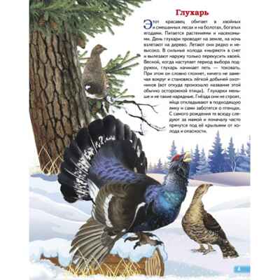 Зимующие птицы России. Обучающие карточки. Большой формат. (Картон), производитель Литур , ISBN 978-5-97801-646-8№ 2