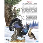 Зимующие птицы России. Обучающие карточки. Большой формат. (Картон), производитель Литур , ISBN 978-5-97801-646-8, № 2
