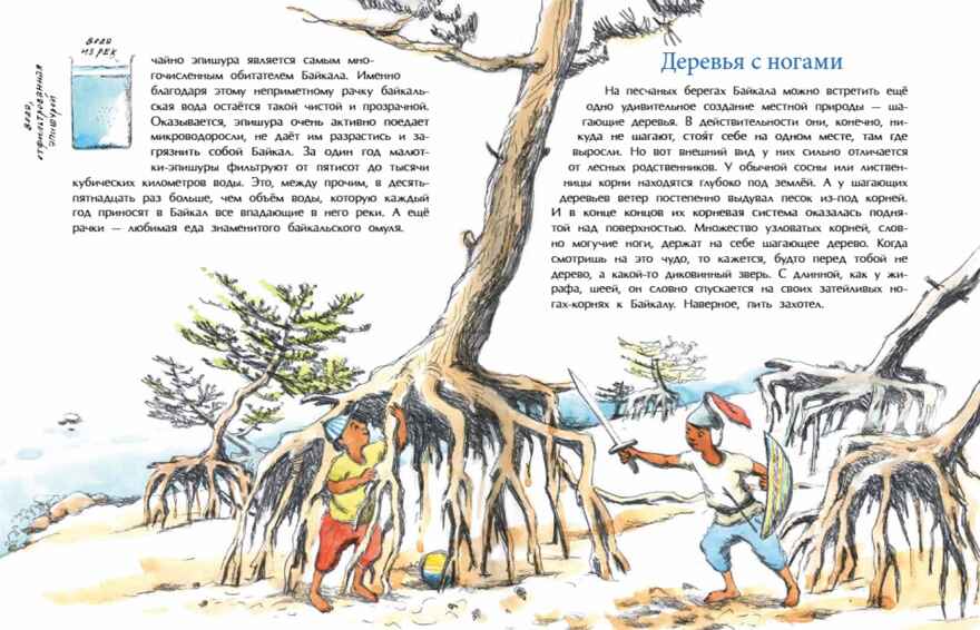 Байкал. Прозрачное чудо планеты. Александр Ткаченко. Настя и Никита, производитель Настя и Никита , ISBN 978-5-90795-346-8, № 7
