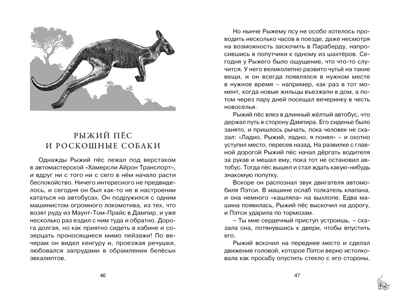 Рыжий пёс. Берньер Л. де. Чтение-лучшее учение, производитель Махаон , ISBN 978-5-38919-633-9№ 4
