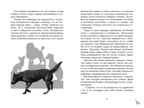 Рыжий пёс. Берньер Л. де. Чтение-лучшее учение, производитель Махаон , ISBN 978-5-38919-633-9, № 5