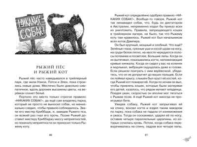 Рыжий пёс. Берньер Л. де. Чтение-лучшее учение, производитель Махаон , ISBN 978-5-38919-633-9№ 6