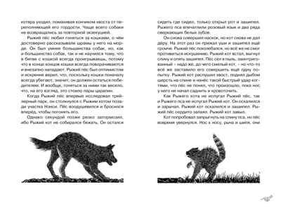 Рыжий пёс. Берньер Л. де. Чтение-лучшее учение, производитель Махаон , ISBN 978-5-38919-633-9№ 7
