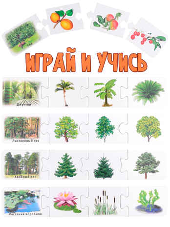 Ассоциации-цепочкой Что где растет?, арт. ИН-1412, производитель Рыжий кот, ISBN 461-0-14480-412-7№ 4