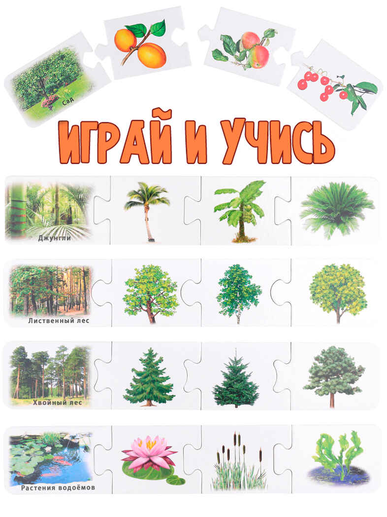 Ассоциации-цепочкой Что где растет?, арт. ИН-1412, производитель Рыжий кот, ISBN 461-0-14480-412-7, № 4