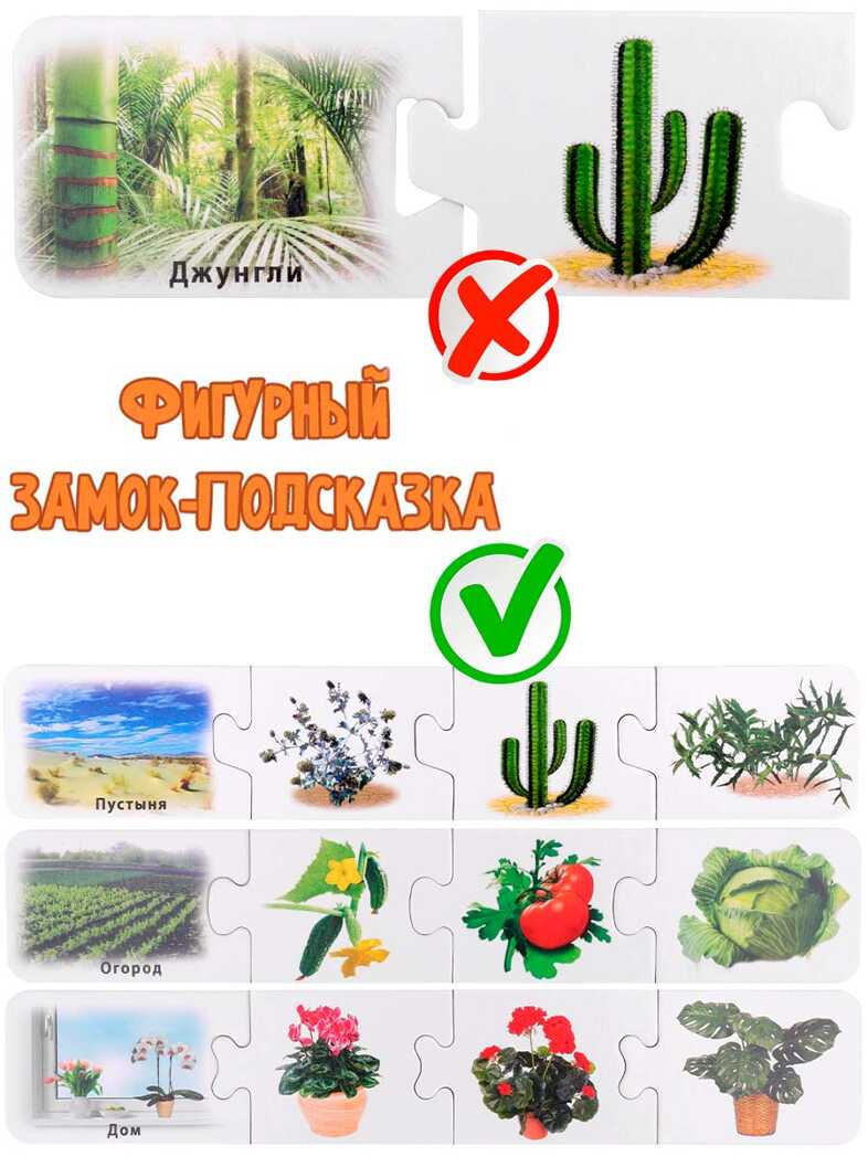 Ассоциации-цепочкой Что где растет?, арт. ИН-1412, производитель Рыжий кот, ISBN 461-0-14480-412-7, № 5