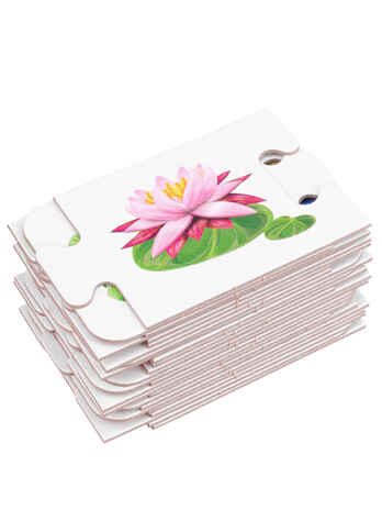 Ассоциации-цепочкой Что где растет?, арт. ИН-1412, производитель Рыжий кот, ISBN 461-0-14480-412-7№ 6