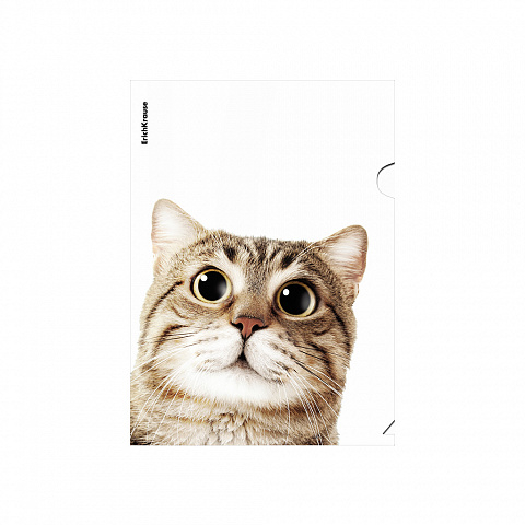 Папка-уголок пластиковая Hiding Cats, A4, ассорти, арт. 61139, производитель ErichKrause® (Эрих Краузе), ISBN 465-0-18461-139-2, № 2