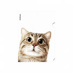 Папка-уголок пластиковая Hiding Cats, A4, ассорти, арт. 61139, производитель ErichKrause® (Эрих Краузе), ISBN 465-0-18461-139-2, № 2