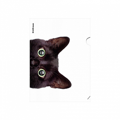 Папка-уголок пластиковая Hiding Cats, A4, ассорти, арт. 61139, производитель ErichKrause® (Эрих Краузе), ISBN 465-0-18461-139-2№ 3