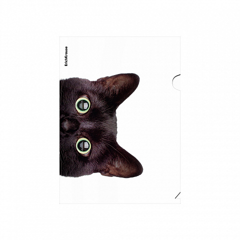 Папка-уголок пластиковая Hiding Cats, A4, ассорти, арт. 61139, производитель ErichKrause® (Эрих Краузе), ISBN 465-0-18461-139-2, № 3