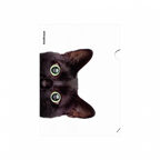 Папка-уголок пластиковая Hiding Cats, A4, ассорти, арт. 61139, производитель ErichKrause® (Эрих Краузе), ISBN 465-0-18461-139-2, № 3