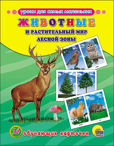 Обучающие карточки. Животные и растительный мир лесной зоны, производитель Проф-Пресс , ISBN 978-5-37826-311-0, № 1