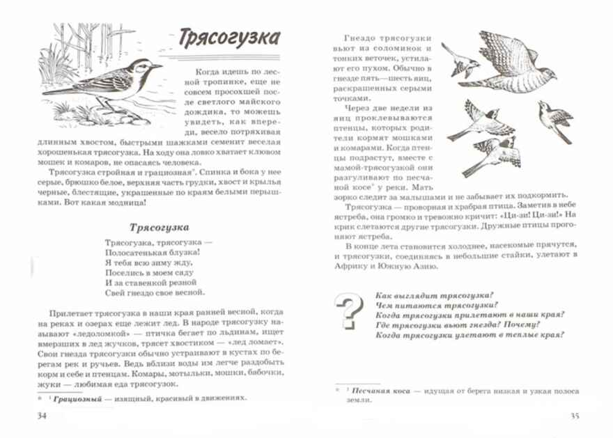 Птицы. Какие они? Знакомство с окруж. миром. Развитие речи. /Для воспит., гувернеров, родит. А5, производитель Гном , ISBN 978-5-90799-697-7, № 2