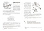 Птицы. Какие они? Знакомство с окруж. миром. Развитие речи. /Для воспит., гувернеров, родит. А5, производитель Гном , ISBN 978-5-90799-697-7, № 2