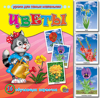 Цветы, производитель Проф-Пресс , ISBN 978-5-37807-023-7№ 1