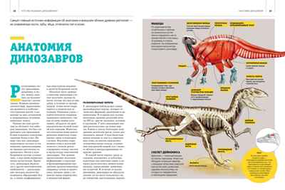 Гигантская энциклопедия динозавров, производитель Махаон , ISBN 978-5-38921-324-1№ 6