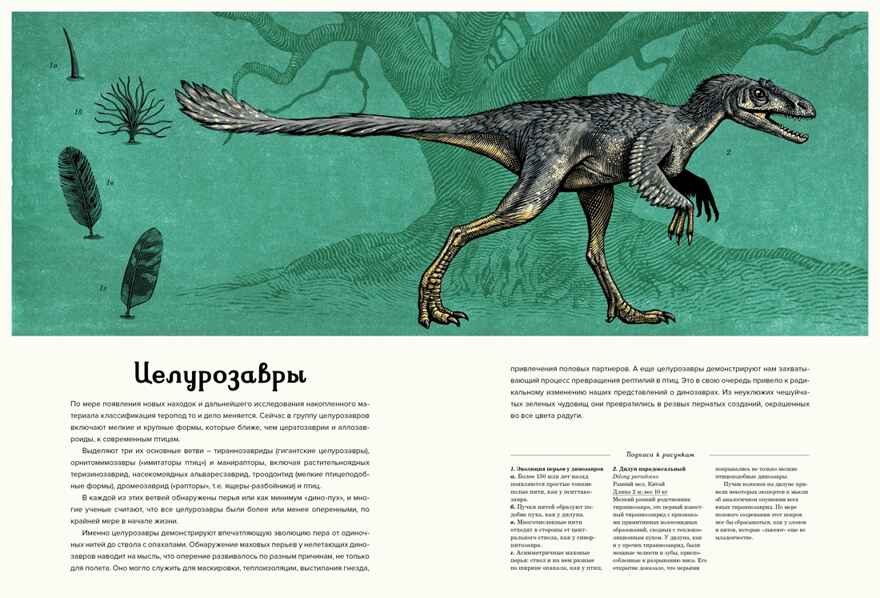 Динозавриум, производитель Махаон , ISBN 978-5-38926-881-4, № 7