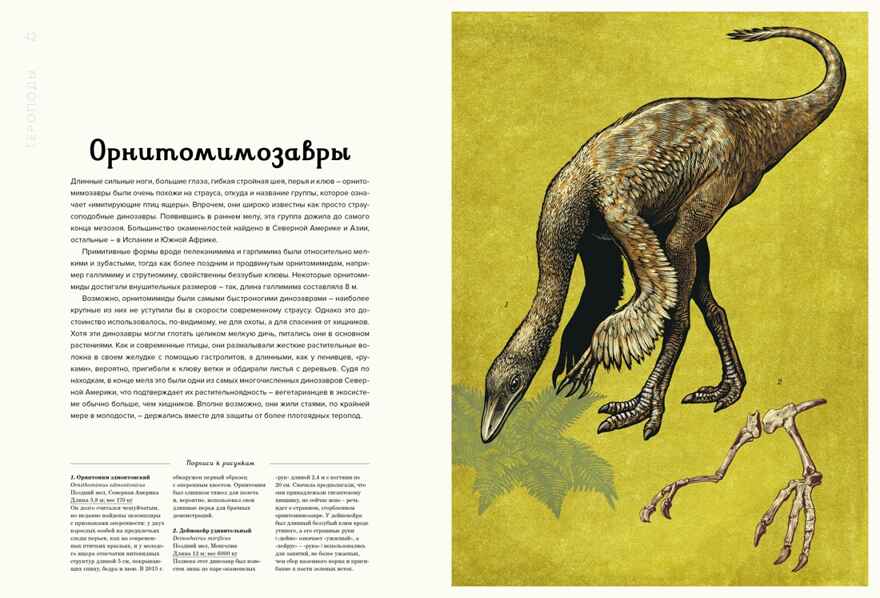 Динозавриум, производитель Махаон , ISBN 978-5-38926-881-4, № 8