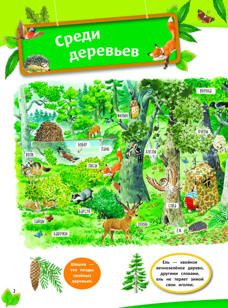 В лесу. Книга с наклейками. Книги с иллюстрациями Тони Вульфа и Мэтта Вульфа, производитель Эксмо , ISBN 978-5-04104-269-1, № 2
