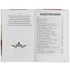 Русские богатыри. Былины Внеклассное чтение. твердый переплет. 208+16 стр., арт. 322839, производитель Умка, ISBN 978-5-50605-553-2, № 2