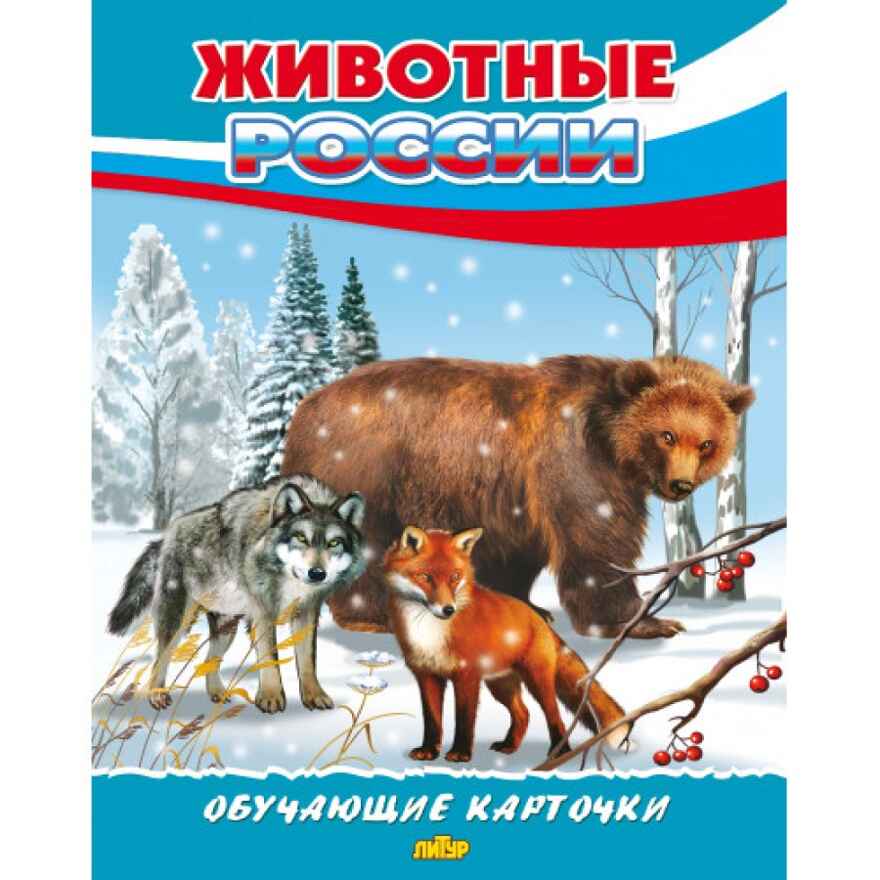 Животные России. Обучающие карточки. Большой формат. (Картон), производитель Литур , ISBN 978-5-98701-657-2, № 1