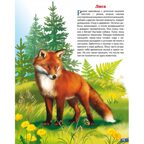 Животные России. Обучающие карточки. Большой формат. (Картон), производитель Литур , ISBN 978-5-98701-657-2, № 5