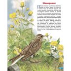 Перелётные птицы России. Обучающие карточки. Большой формат. (Картон), производитель Литур , ISBN 978-5-97801-645-1, № 2