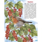 Перелётные птицы России. Обучающие карточки. Большой формат. (Картон), производитель Литур , ISBN 978-5-97801-645-1, № 3