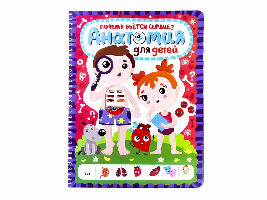 Анатомия. ЗнаникУМ. , производитель Malamalama (Маламалама), ISBN 978-5-00230-088-4, № 1