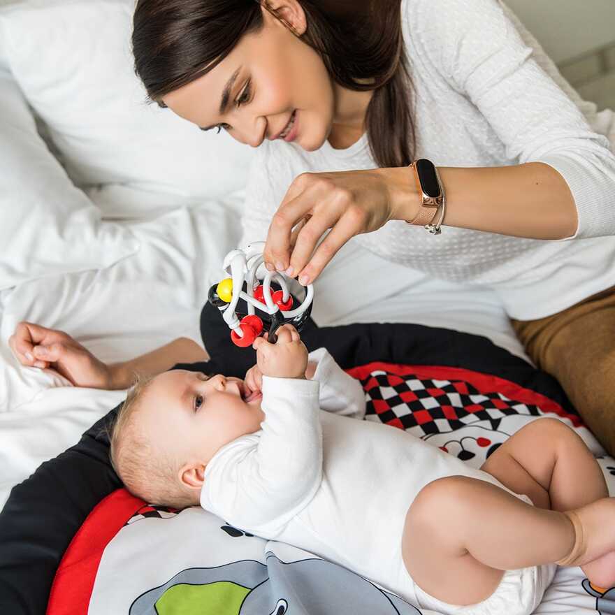 Погремушка Dolphins Арт.553/02, производитель Babyono, ISBN 590-1-43541-044-8, № 4