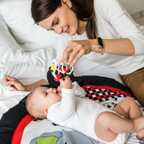 Погремушка Dolphins Арт.553/02, производитель Babyono, ISBN 590-1-43541-044-8, № 4