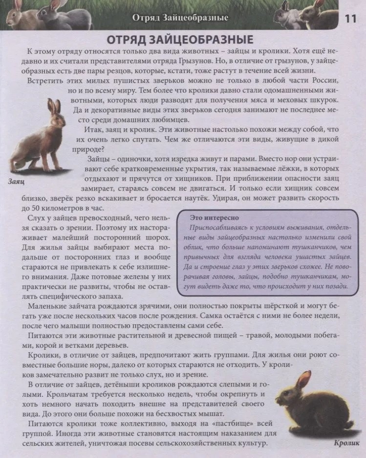 Животные России. Энциклопедия хочу все знать., производитель Проф-Пресс , ISBN 978-5-37829-229-5, № 2