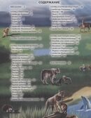 Животные России. Энциклопедия хочу все знать., производитель Проф-Пресс , ISBN 978-5-37829-229-5, № 4