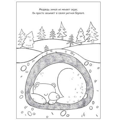 Познавательные раскраски набор из 4 книг, производитель МОЗАИКА kids , ISBN 978-5-43152-588-9№ 3